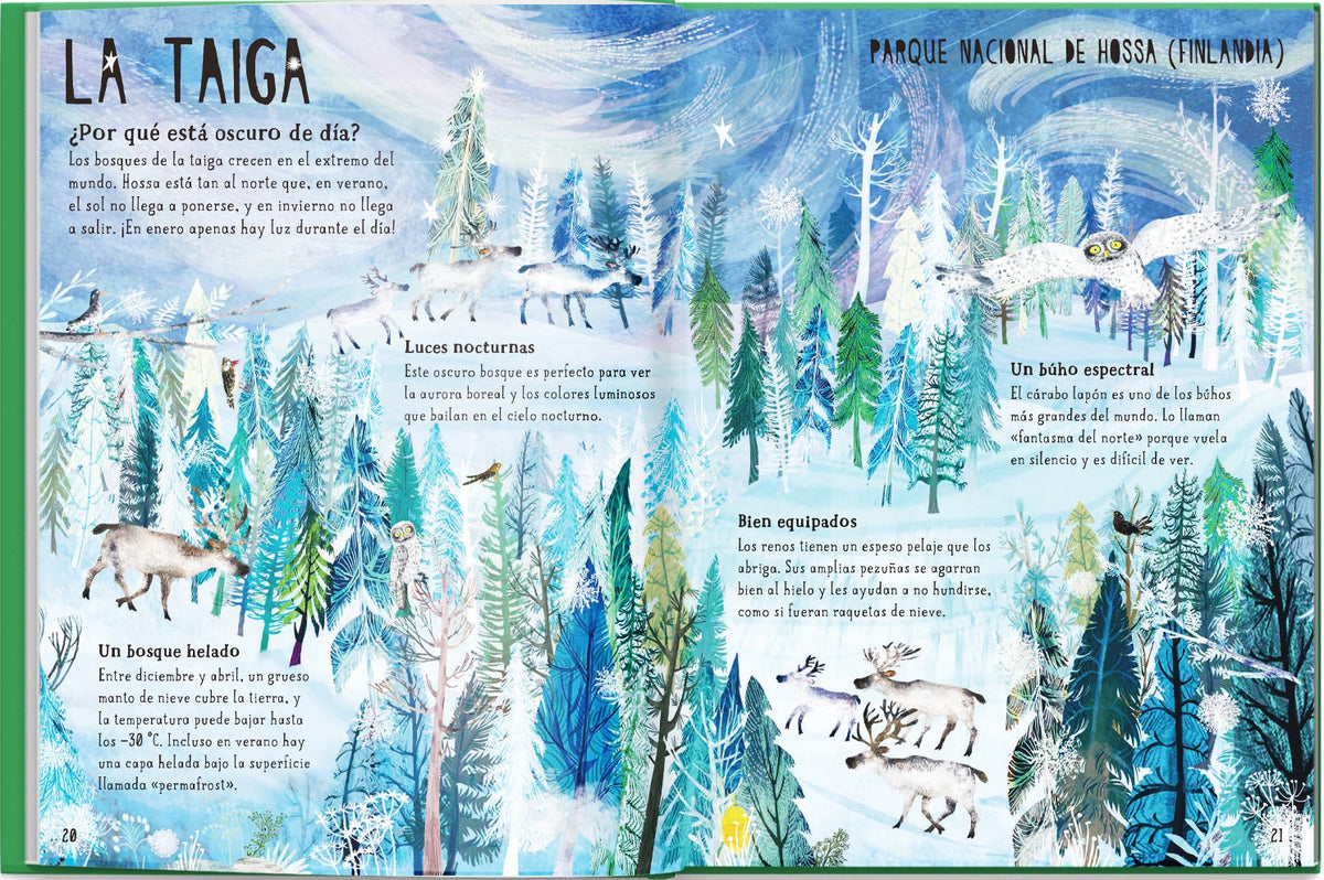 Nuestros Bosques