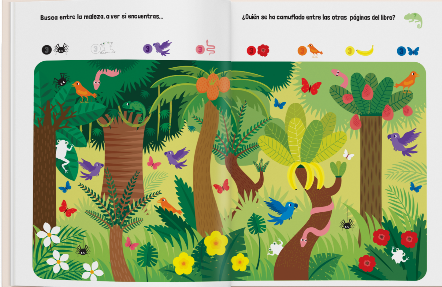Colores