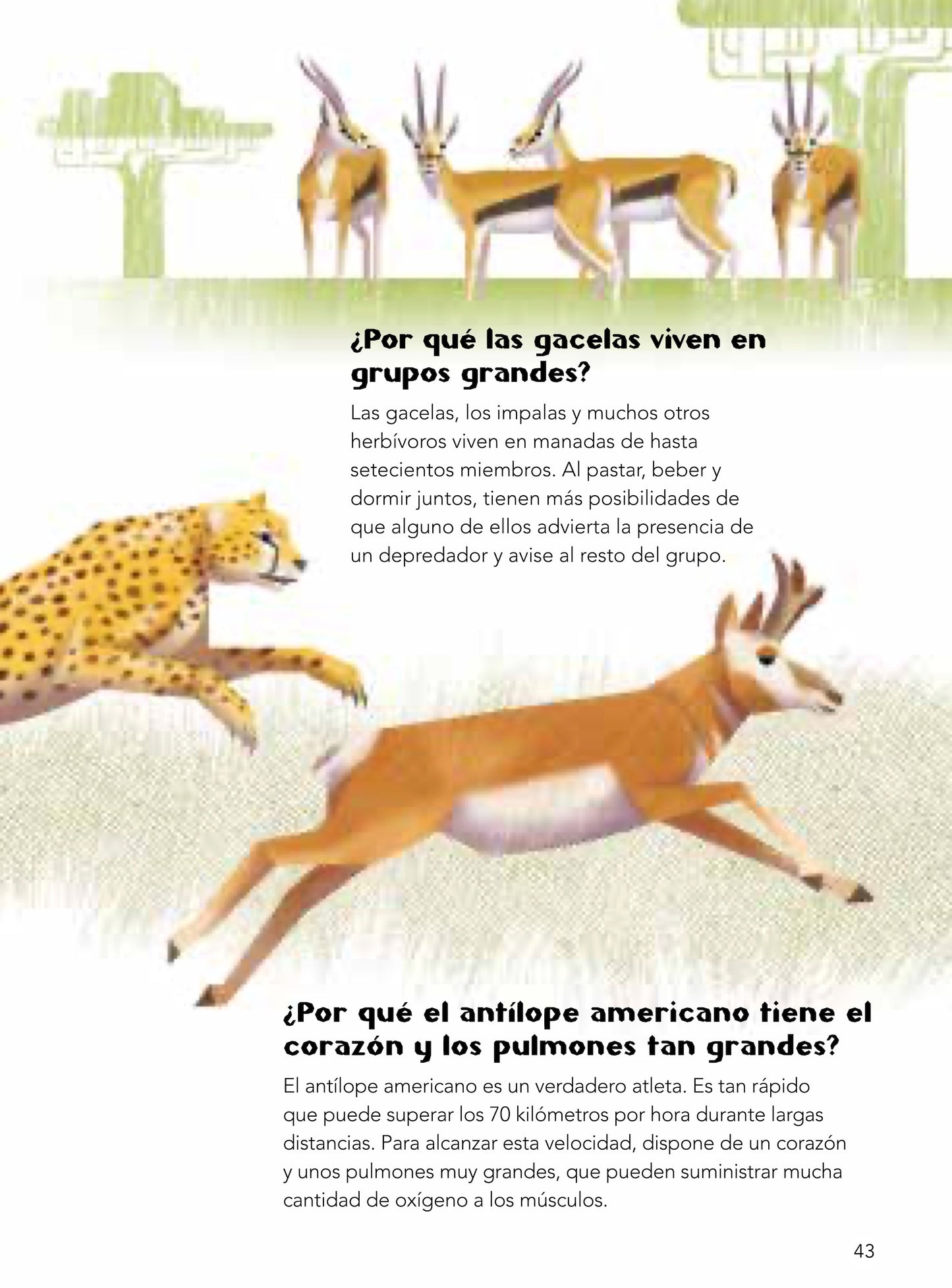 200 preguntas y respuestas sobre animales