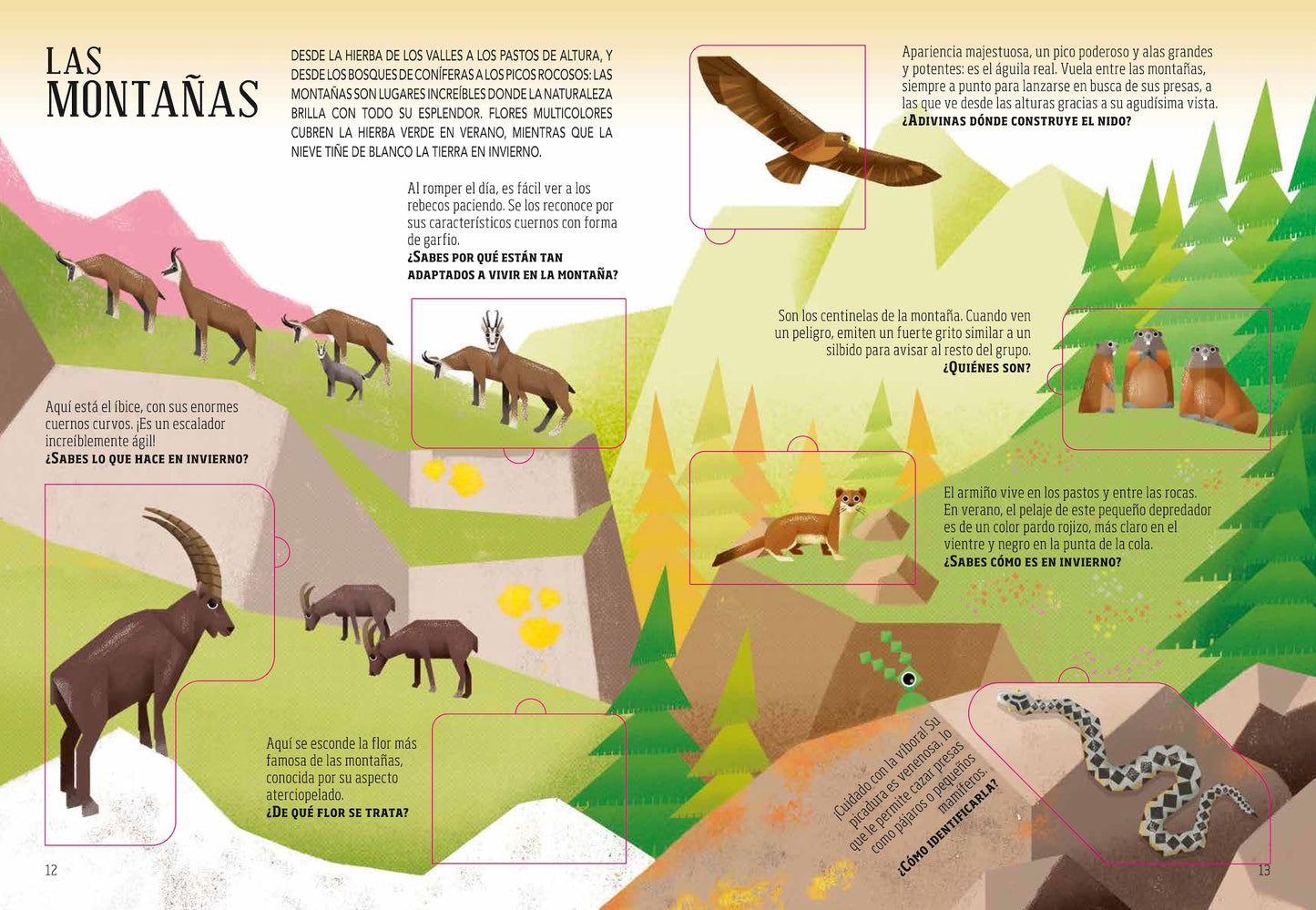 Viaja y Descubre: La Tierra