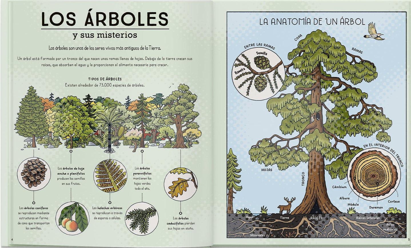 La naturaleza y sus misterios