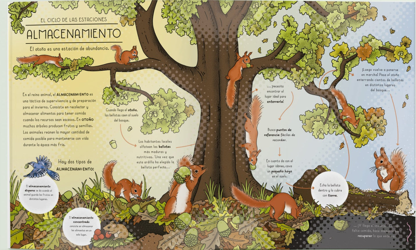 La naturaleza y sus misterios