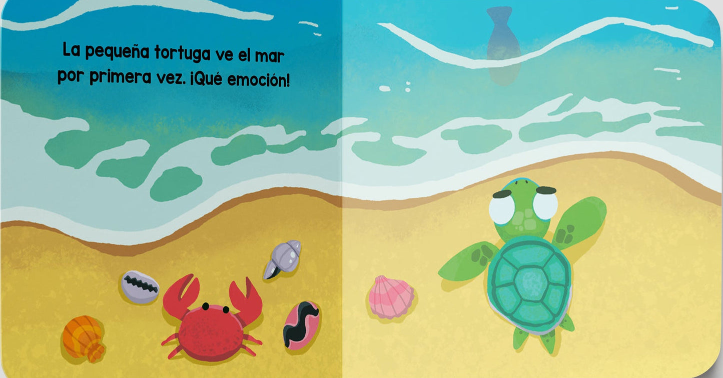 Sonidos Serenos, OCÉANO