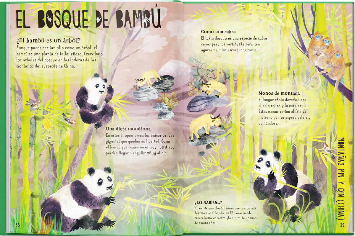 Nuestros Bosques
